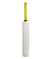 Rudra Nude Kashmir Willow Season Cricket Bat