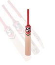 SG RSD PLUS Kashmir Willow Cricket Bat