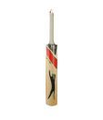 Slazenger V-100 All Star  Kashmir Willow Cricket Bat