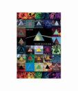 Pink Floyd Dark Side Of The Moon Immersion (24 x 36 inches)