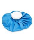 Shree Ice Bag