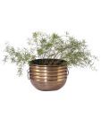 Live n Style Brass Finish Concentric Circle Small Planter