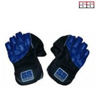 SS Academy Wicket Keeping Gloves