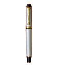 Guru Gold Elegant Silver Plated Pen