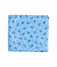 Advance Baby Blue Plastic Sheet - Small