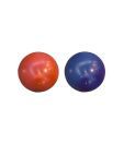 Fitness World  Gym Bal  (65 Cm)