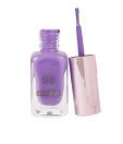 Glam Secret Nail Paint 5 14Ml