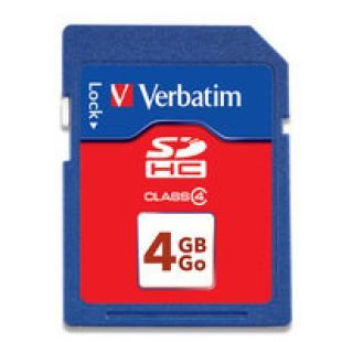 SDHC 4Gb Class 4 Memory Card (With Case  Bulk)
