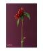 Artjini Red Flower Painting