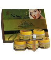 Alna 6 In One Gold Facial Kit