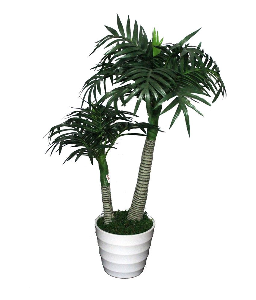 Pollination Date Palm Artificial Plant With Pot Buy