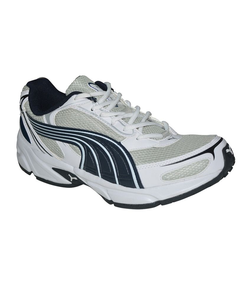 puma spring and rubber industries