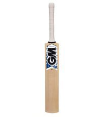 GM Octane 101 Kashmir Willow Cricket Bat