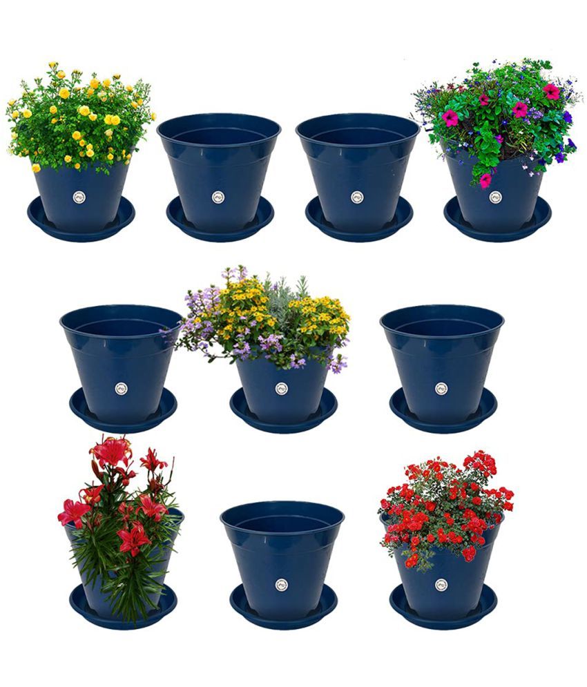 Kraft Seeds Plastic Flower Pots Blue Colour Inches Pack Of With