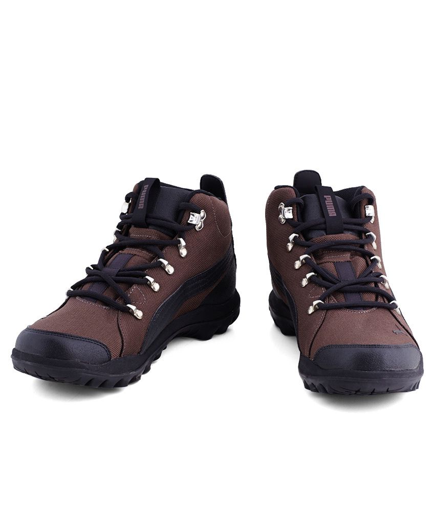 Silicismid Hc Dp Brown Sports Shoes 