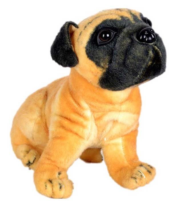 Alexus Hutch Dog Buy Alexus Hutch Dog Online at Low Price Snapdeal