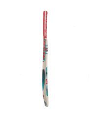 BDM Tennis Cricket Kashmir willow cricket bat