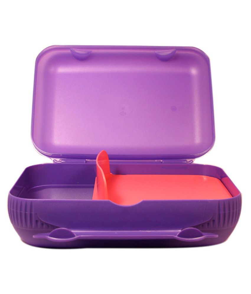 Tupperware Purple & Pink Plastic Lunch Box Buy Online at