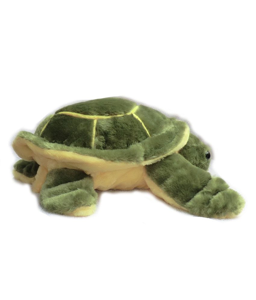 green turtle soft toy