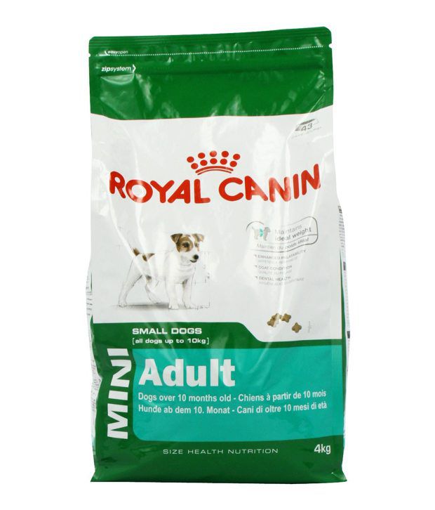     			Royal Canin Mini Adult  4 Kgs