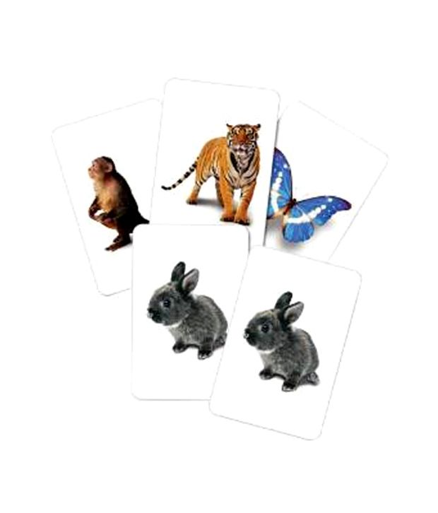 elc wild animal set