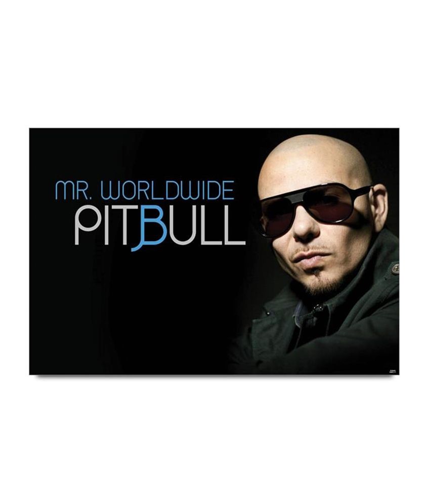 pitbull mr worldwide shirt