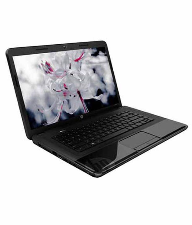 how do you download zoom on hp laptop