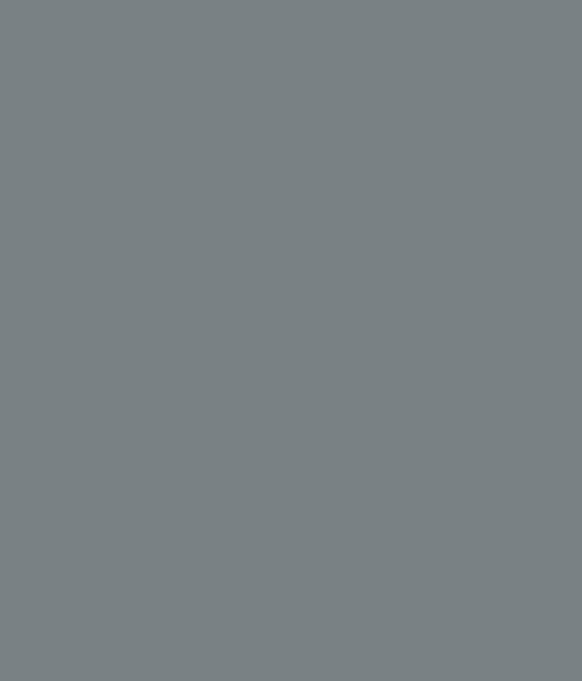Buy Asian Paints Enamel Ad Grey 0601 Online At Low Price In India