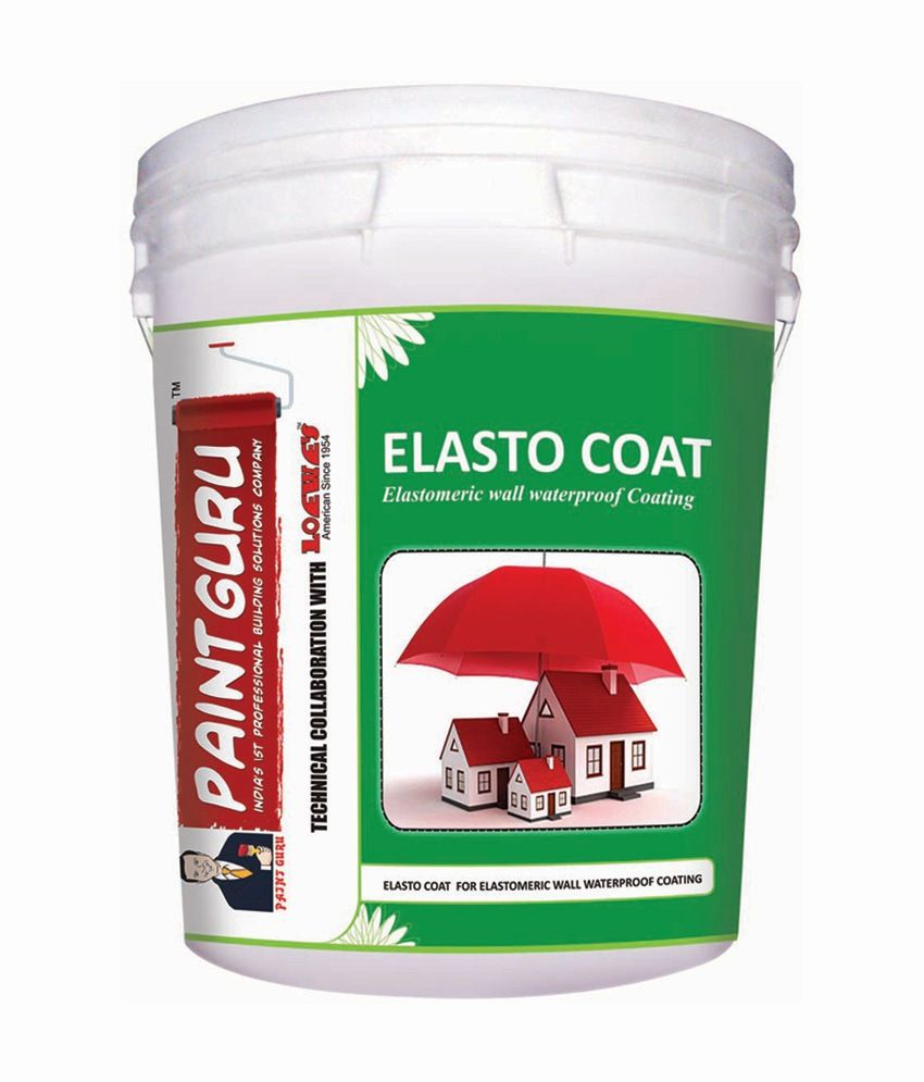 dr fixit raincoat paint price
