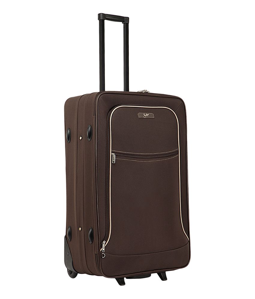 delsey trolly bag