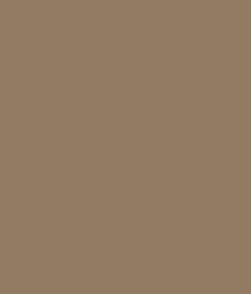 Buy Asian Paints Ace Exterior Emulsion - Dull Birch Online at Low Price in India - Snapdeal