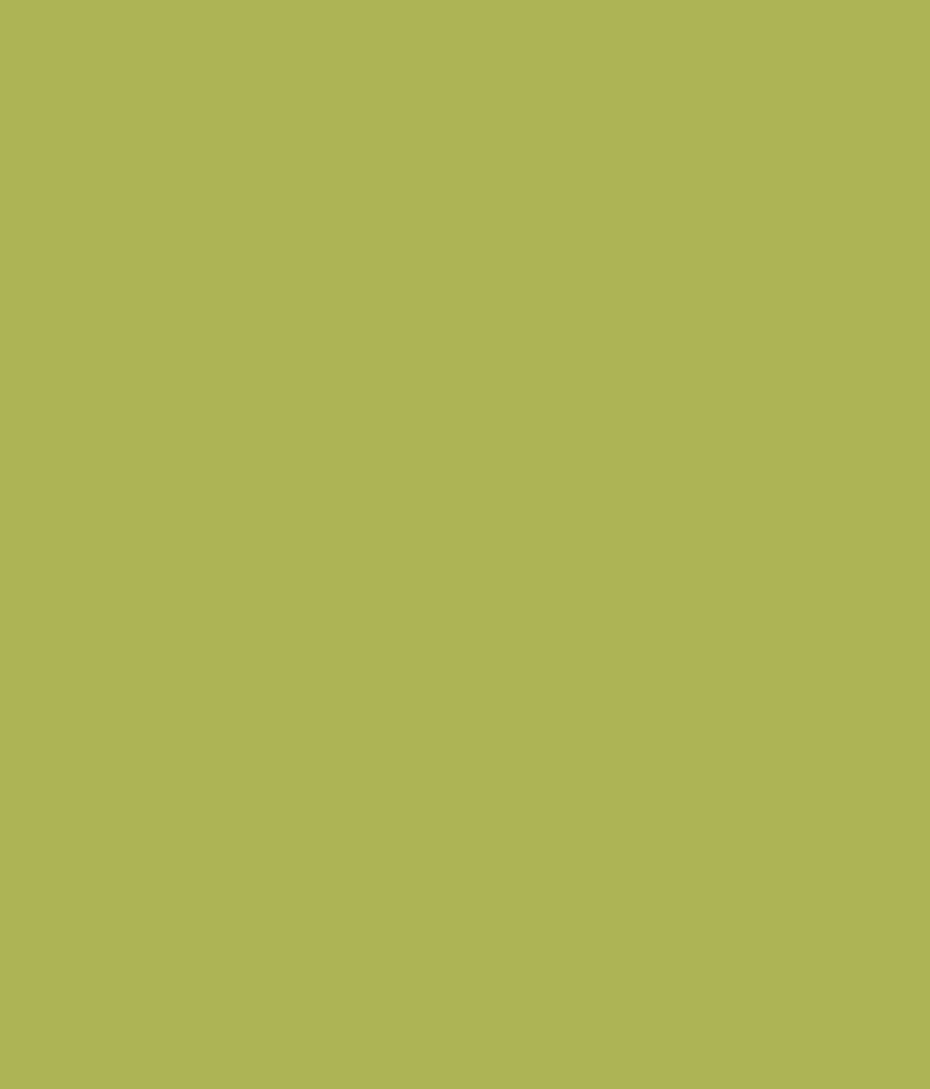 Buy Asian Paints Ace Exterior Emulsion - Vivid Green ...