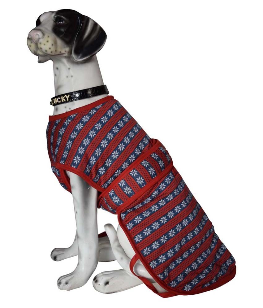 tj maxx dog sweaters