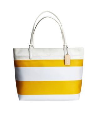 coach multicolor stripe purse