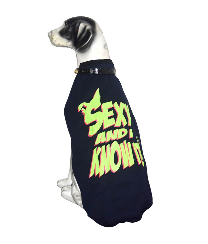 tj maxx dog sweaters