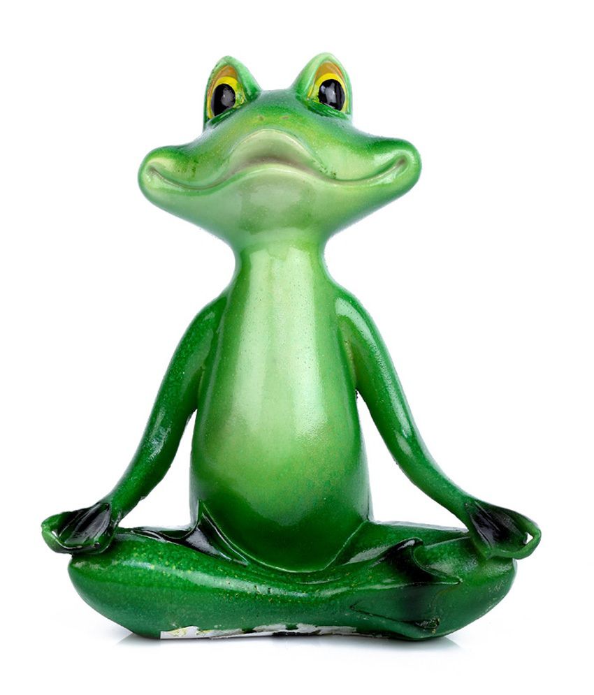 pocket yoga rainfrog