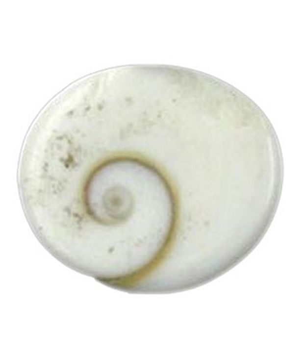     			Religious Kart White Gomti Chakra Natural Pooja Product