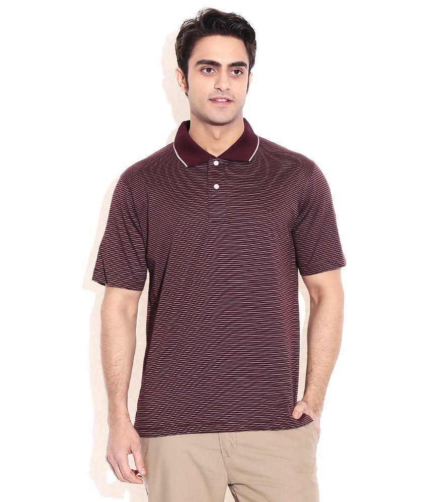 colorplus polo t shirts