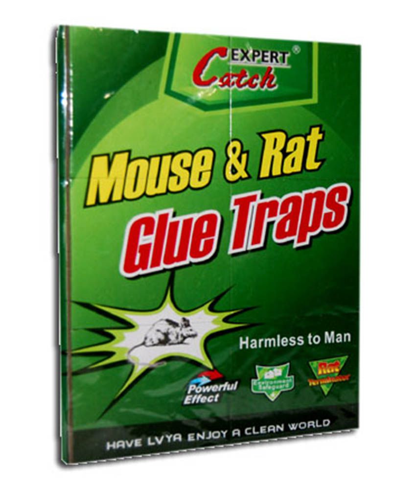 Buy Expert Mouse And Rat Glue Trap (Pack of 5 Pcs) Online ...
