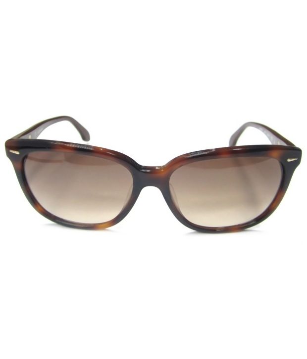 calvin klein cat eye sunglasses