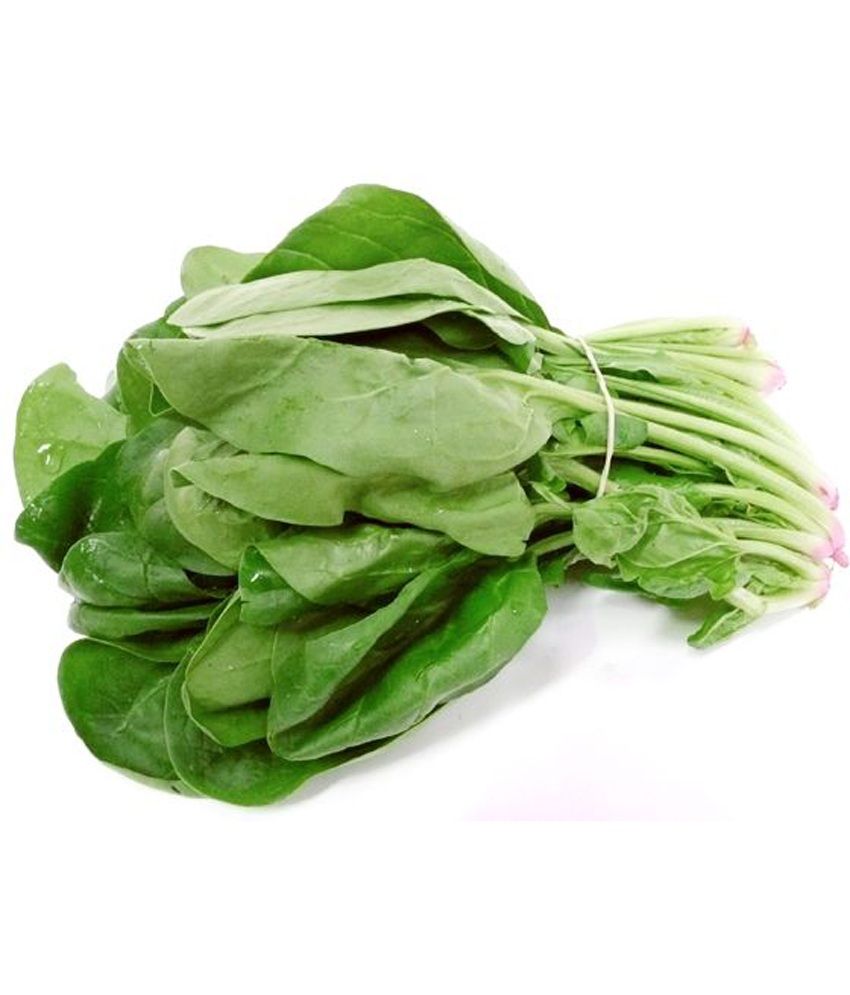Chhajedgarden Indian Spinach 75 Seeds Buy Chhajedgarden Indian Spinach