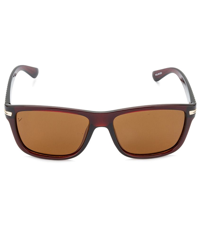 Velocity - Brown Square Sunglasses ( 88016 ) - Buy Velocity - Brown ...