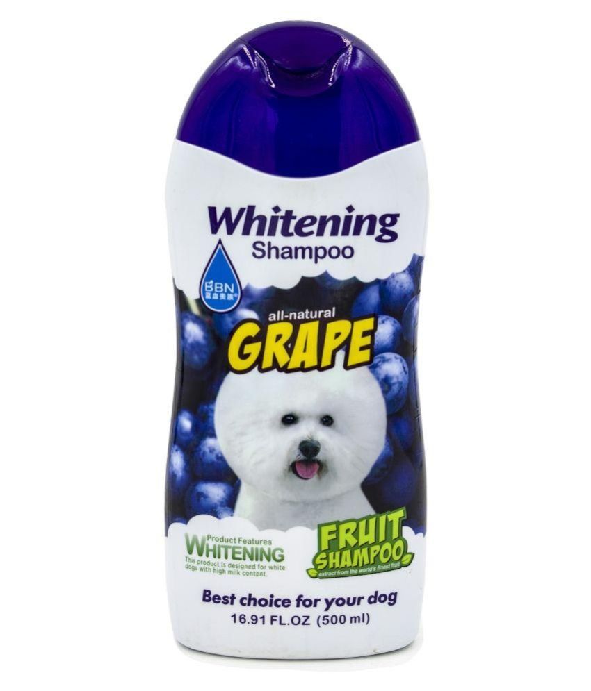 Goofy Tails Dog Shampoo with Banana Milk Formula 500 Ml Buy Goofy