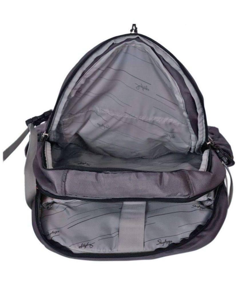 skybags teckie 01 grey laptop backpack