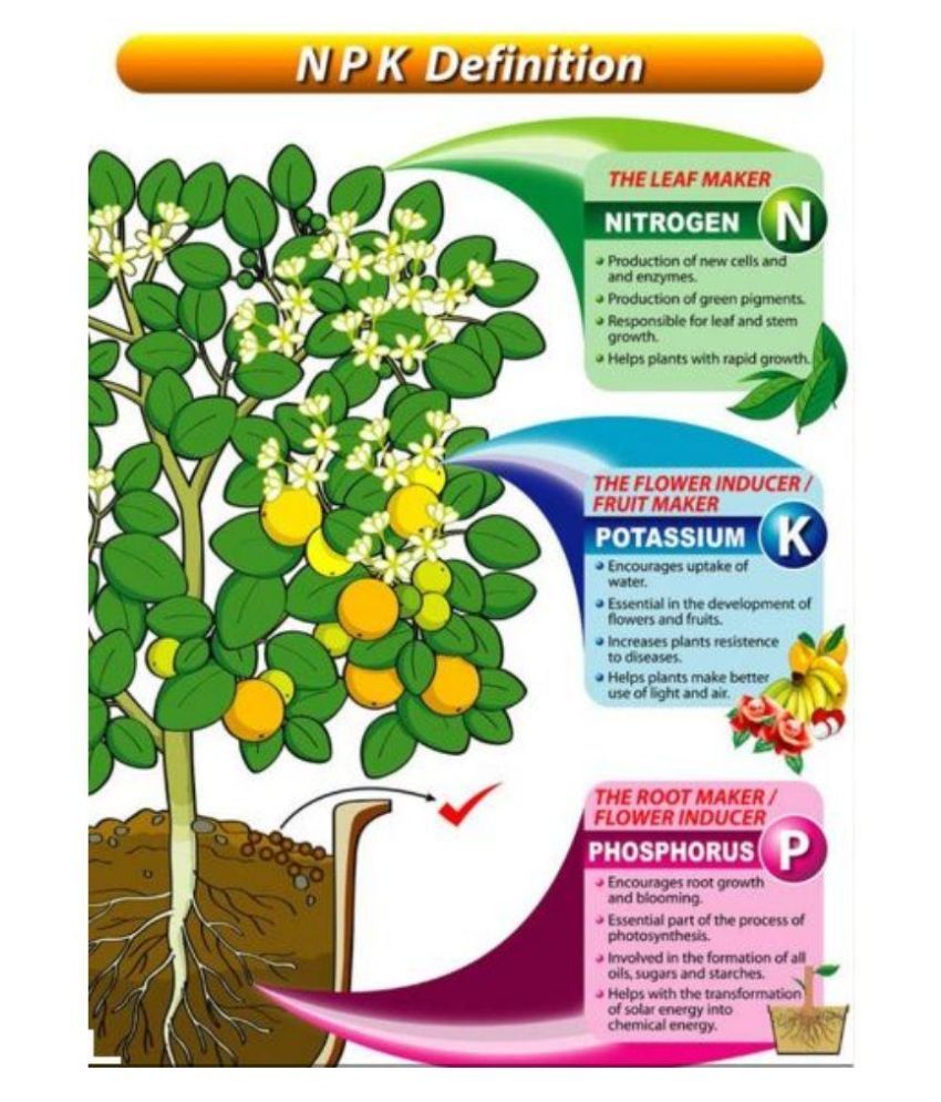 MNJ Urea Fertilizer for All Plants &amp; Gardening Buy MNJ