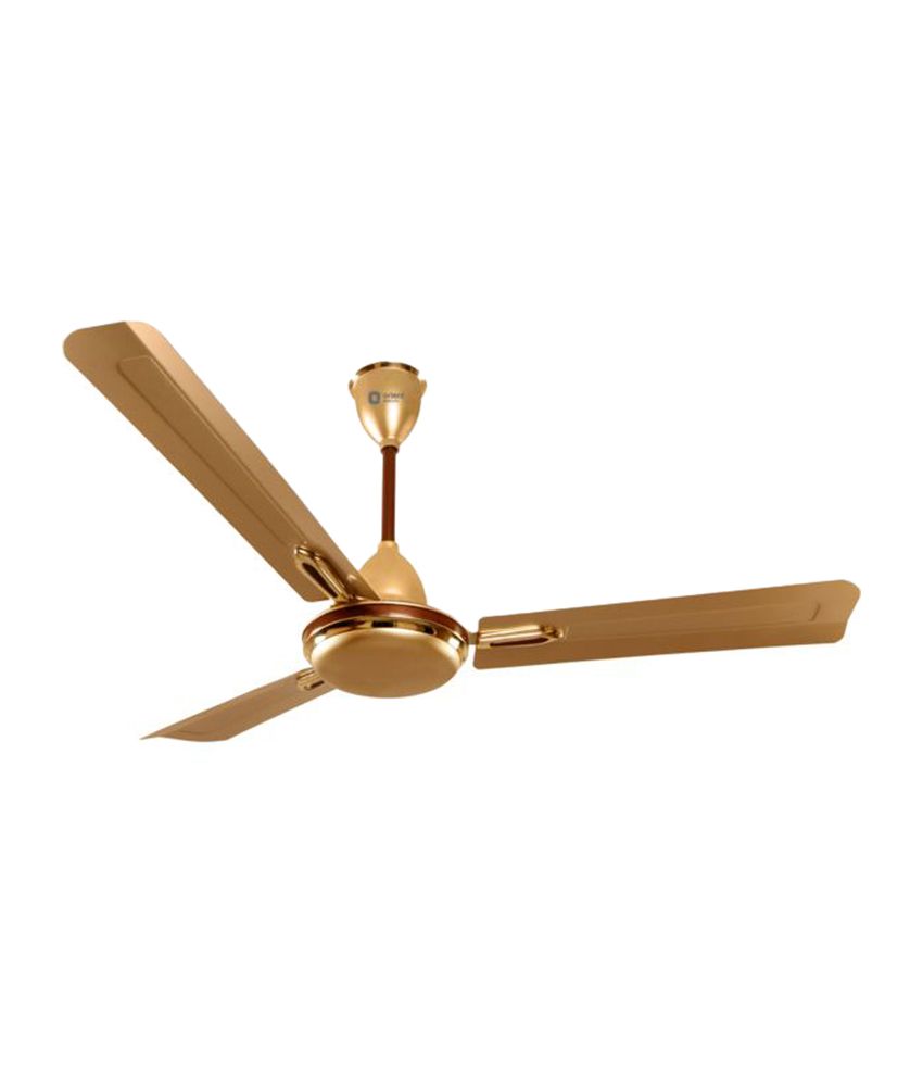 Orient 600 mm Quasar Ornamental Ceiling Fan Golden Chocolate Price in