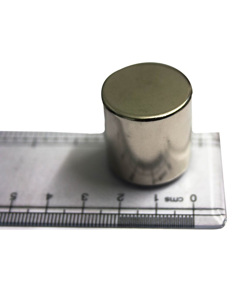 Techtonemagnetics Strong Neodymium  Magnet  Buy Online at 