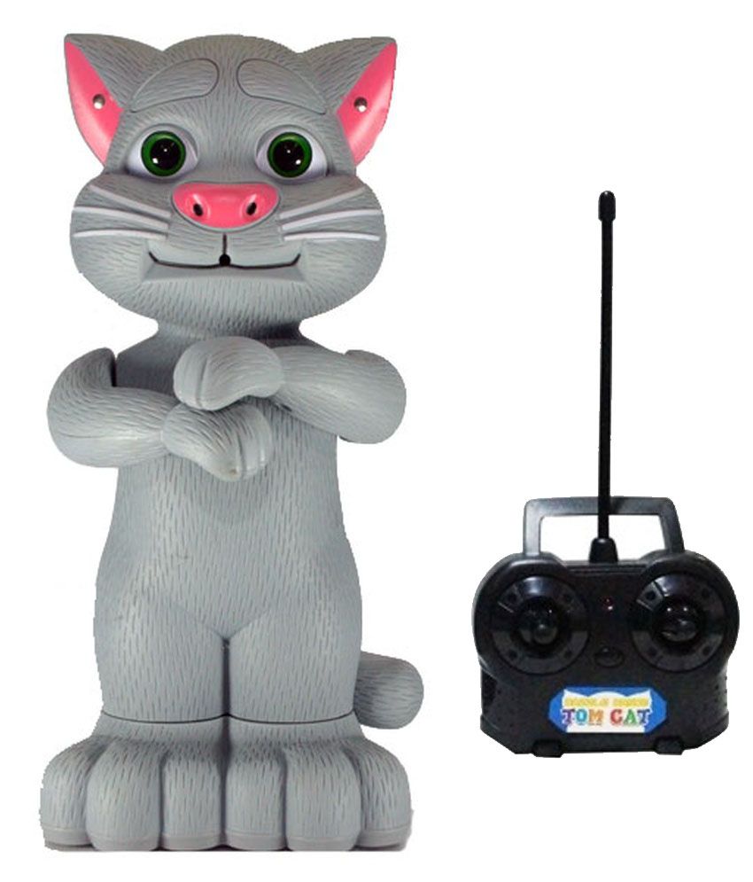 cat with remote control