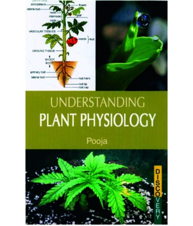 Understanding Plant Physiology Buy Understanding Plant Physiology