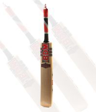 BDM Club Master Kashmir Willow Cricket Bat